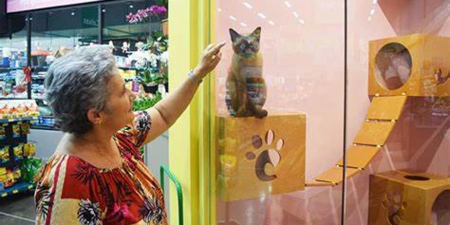 Os animais podem ajudar as pessoas no controle diário de doenças crônicas.