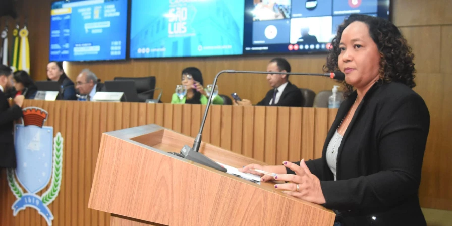 Silvana Noely é presidente da Comissão de Direitos Humanos da Câmara