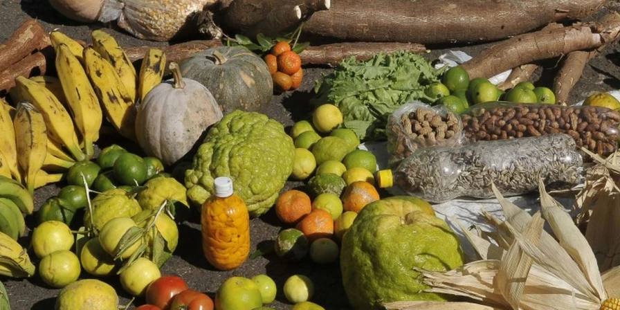 Um terço da comida produzida no mundo se perde antes de chegar ao consumidor final.