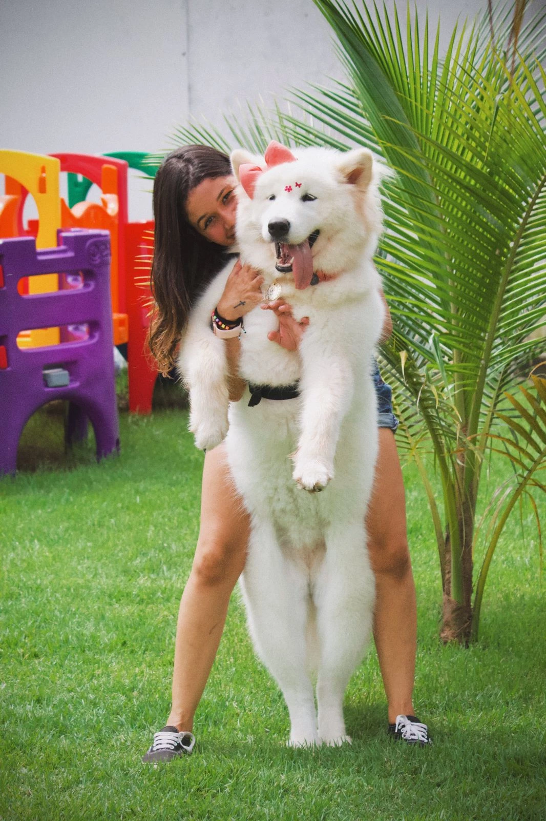 (Foto: divulgação / Terra Zoo)