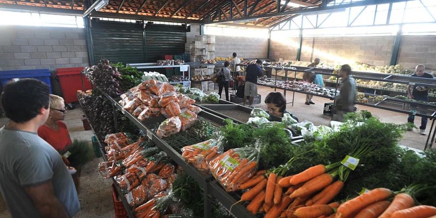 Os produtos tiveram quedas significativas, com reduções médias de 21,23% e 17,09%, respectivamente.