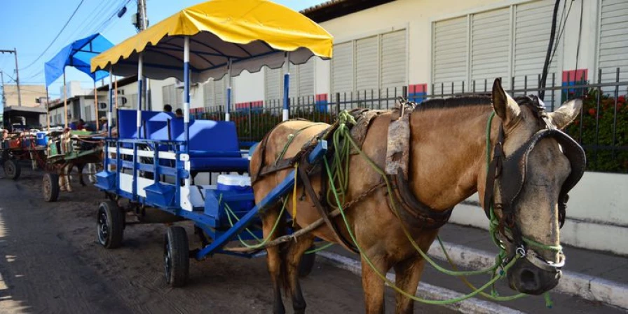 A cavalgada de abertura da Expoimp será realizada no sábado, dia 8 de julho.