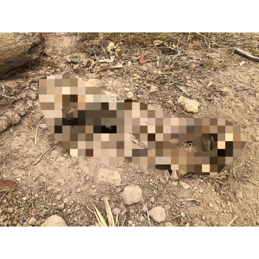 Júlio César Santos Silva, de 19 anos, morava em Cidelândia e veio para a casa do pai no bairro Ouro Verde para tirar documentos pessoais. Foto: Divulgação