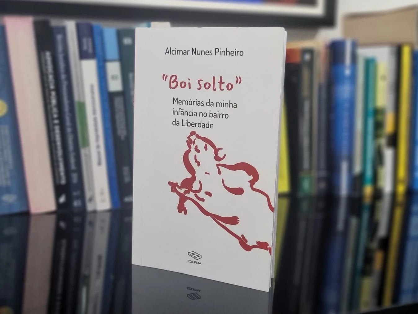 Lançamento do livro 'Boi Solto' ocorre nesta quinta, no Palácio Cristo Rei. (Foto: Divulgação / Assessoria)