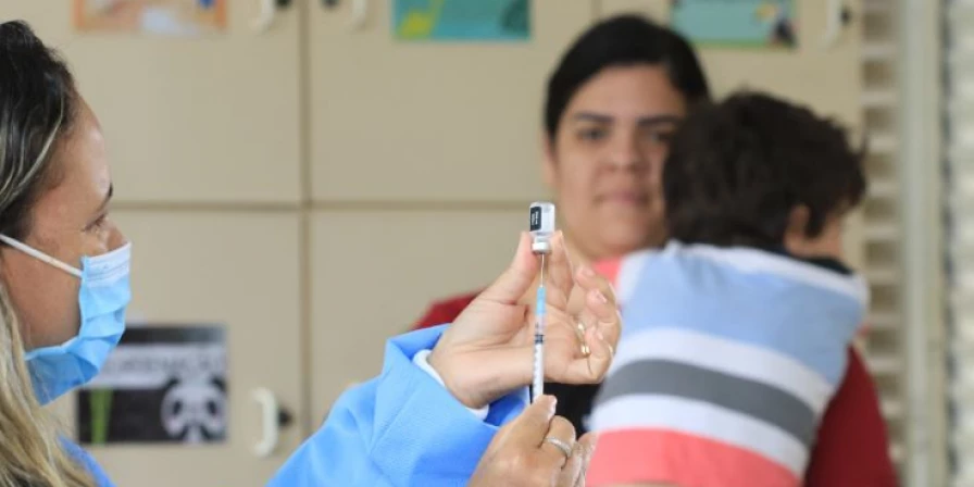 A pesquisadora do Programa de Computação Científica da Fiocruz e do InfoGripe Tatiana Portella observa que o cenário atual da SRAG no país é decorrente principalmente dos vírus VSR, influenza A e rinovírus.