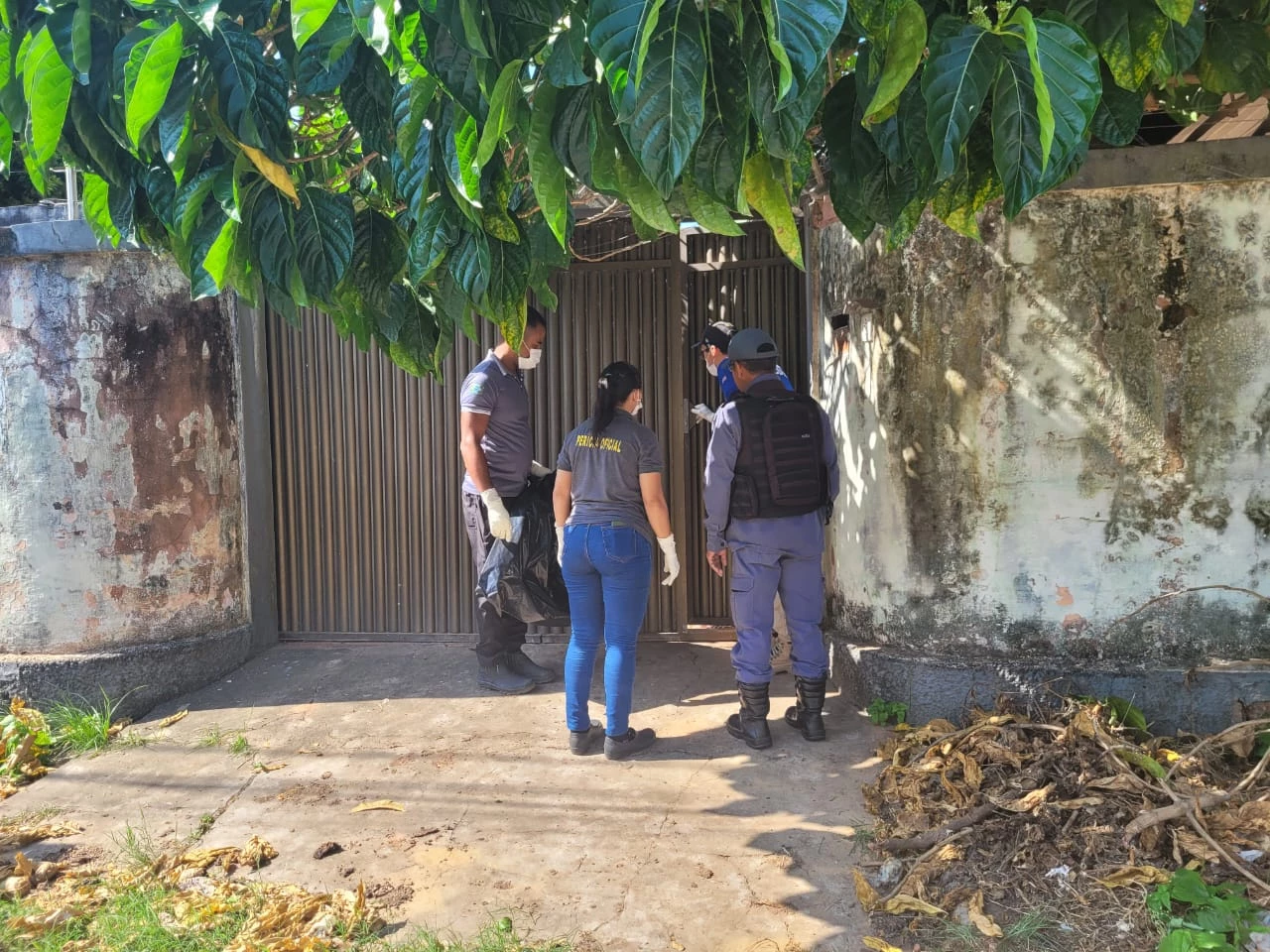 Os restos mortais foram encontrados na residência de idosa que cuidava de cerca de 100 cães. (Foto: Alessandra Rodrigues / Mirante AM)