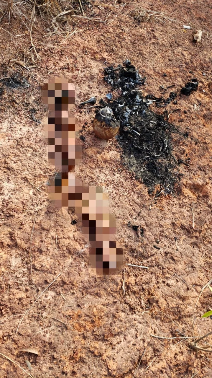 De acordo com as informações policiais, a ossada pode ser de uma das duas adolescentes que estão desaparecidas na cidade de Pedreiras. (Foto: divulgação)