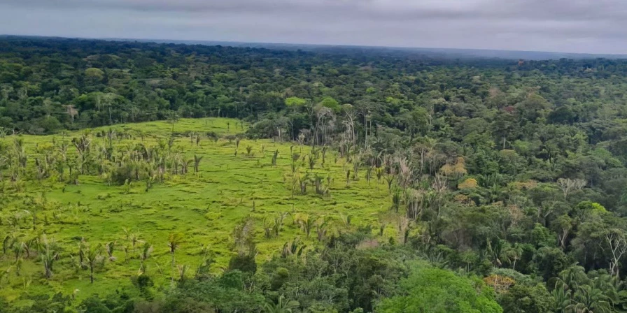 Em relação à categoria que sofre a violência por terra, os povos indígenas e suas comunidades são as mais atingidas.