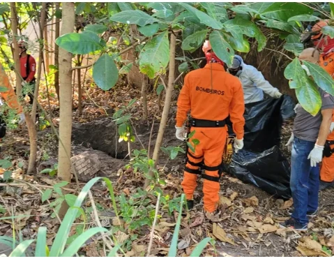 Corpo foi encontrado na tarde dessa quinta-feira (19). (Foto: Divulgação / Polícia Civil do Maranhão)