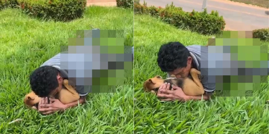 Homem foi detido por maus-tratos contra cadela, mas acabou sendo solto.