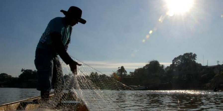 Maranhão lidera cancelamento de licenças de pescadores