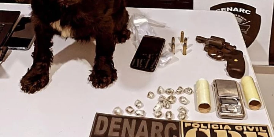 Cão farejador usado na ação policial.