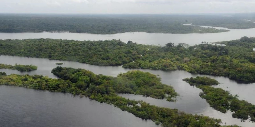 O Fundo Amazônia foi criado para financiar a conservação, monitoramento e desenvolvimento sustentável do bioma.