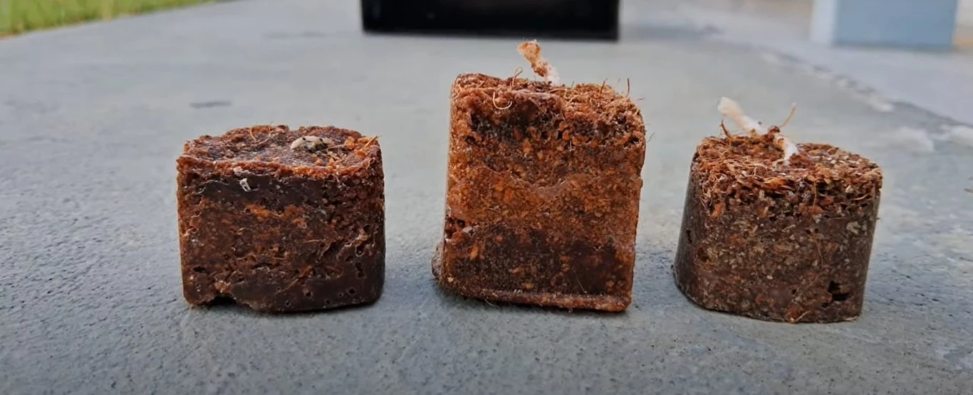 Combustível sólido produzido a partir de cascas de coco no Maranhão. (Foto: reprodução)