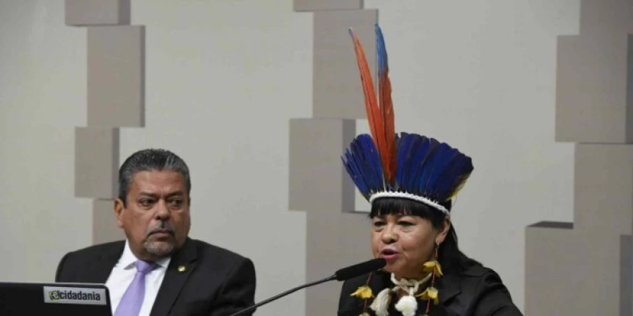 Em um dos depoimentos, a líder indígena Luciene Kujãesage Kayabi disse que ONGs estrangeiras enriquecem às custas da riqueza da Amazônia.