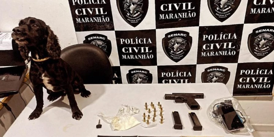 A operação policial foi deflagrada nesta quinta-feira (11).