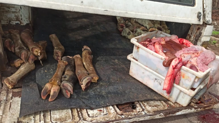 O caso foi considerado grave pelos fiscais da AGED. Foto: Reprodução / PRF