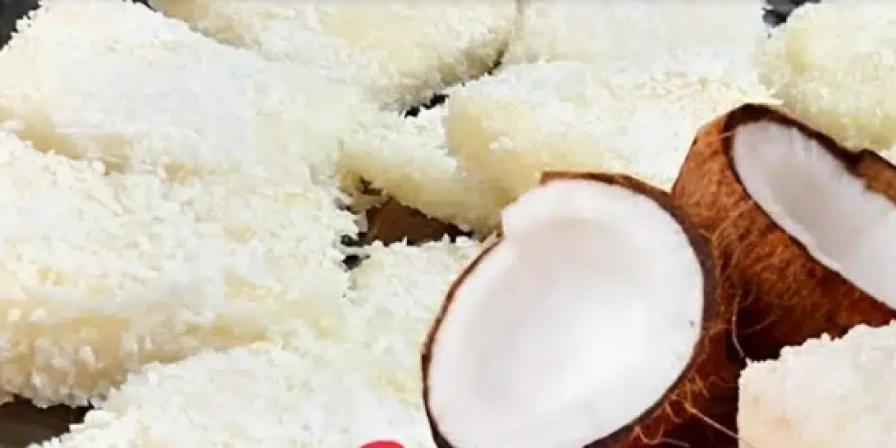 Lei que incentiva a produção de coco no país é sancionada