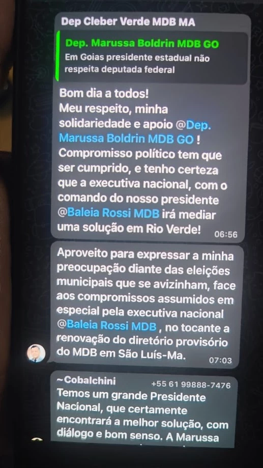 Cleber Verde marcou Baleia Rossi em grupo do MDB no WhatsApp