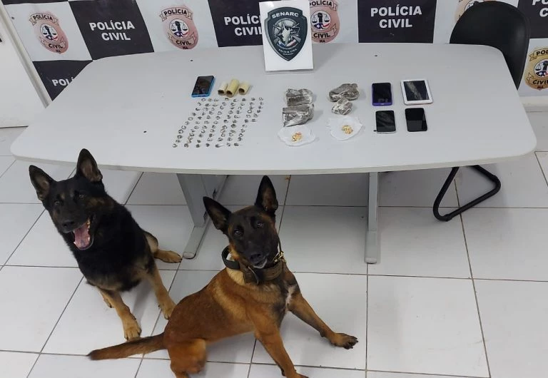 Sete pessoas foram presas durante a operação. (Foto: divulgação / Polícia Civil)