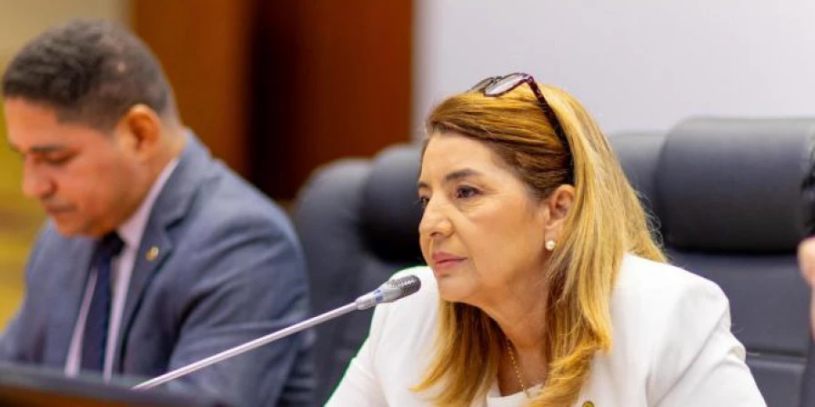Iracema se posicionou sobre o tema na sessão desta terça-feira