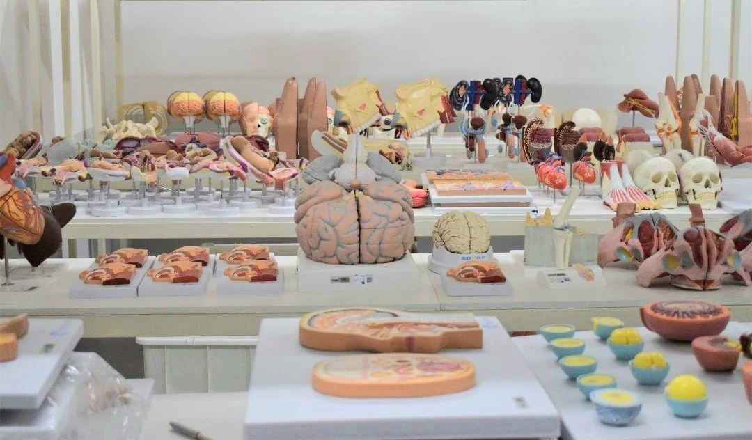 Faculdade Pitágoras oferece o curso de Medicina em Bacabal e Codó. (Foto: Divulgação / Faculdade Pitágoras)