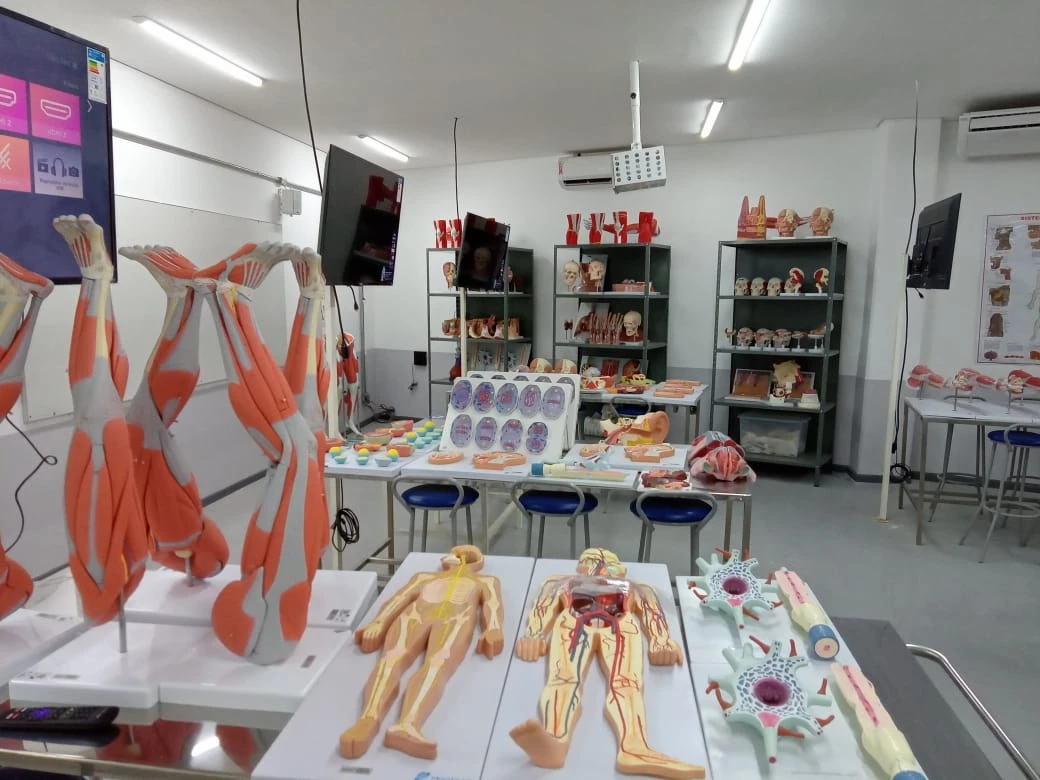 Faculdade Pitágoras oferece o curso de Medicina em Bacabal e Codó. (Foto: Divulgação / Faculdade Pitágoras)