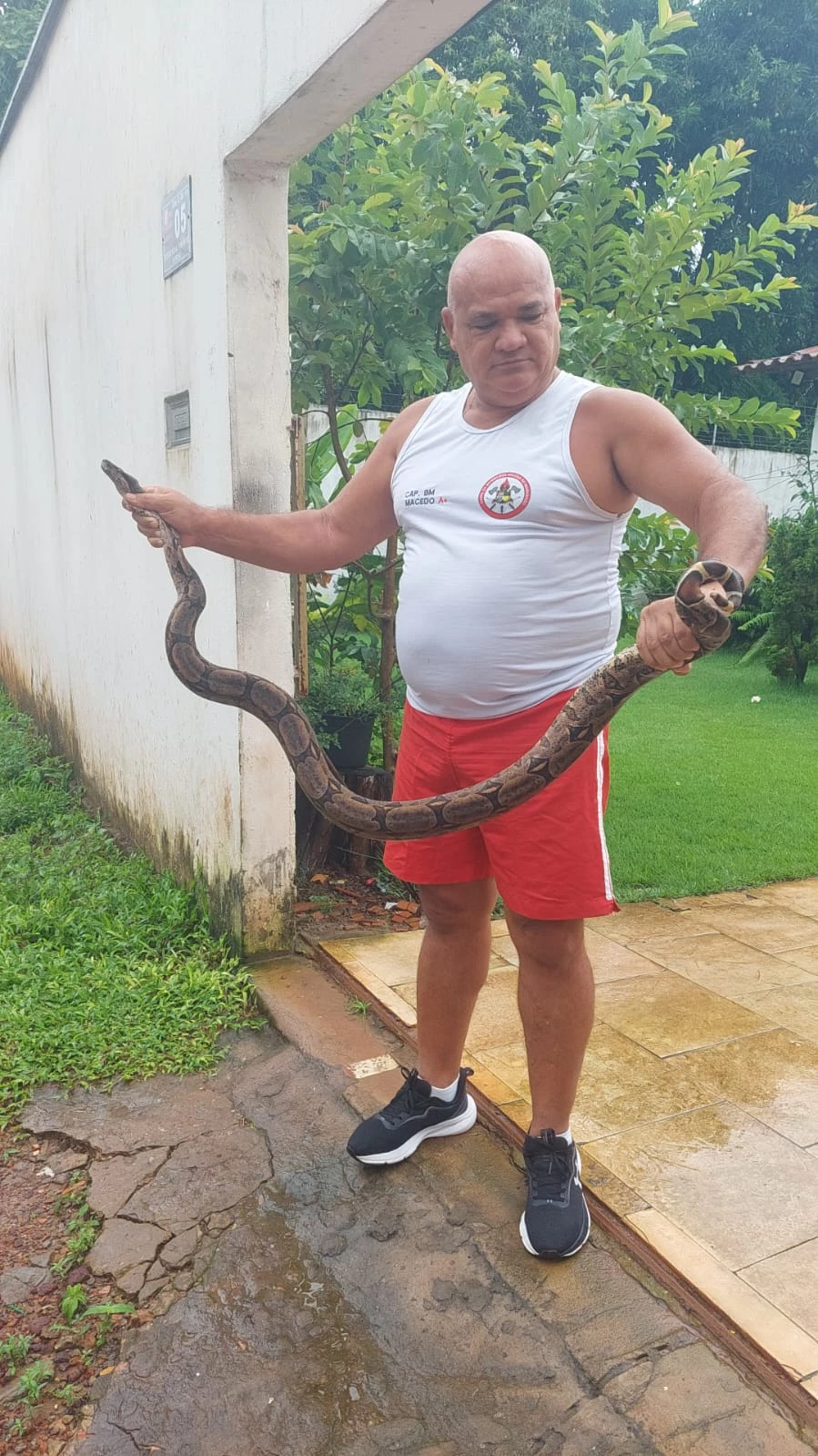 Esta é terceira cobra capturada em menos de uma semana no Maranhão. (Foto: Arquivo Pessoal)