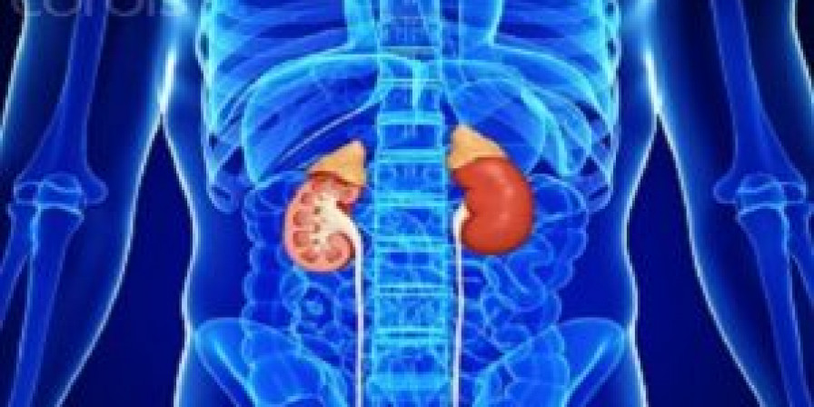 São Luís promove ação gratuita de prevenção à doença renal nesta quinta-feira (12)