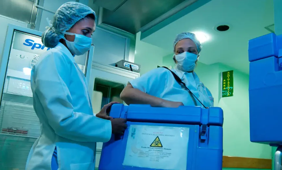Em 2025, foram registrados 15.940 potenciais doadores no país.
