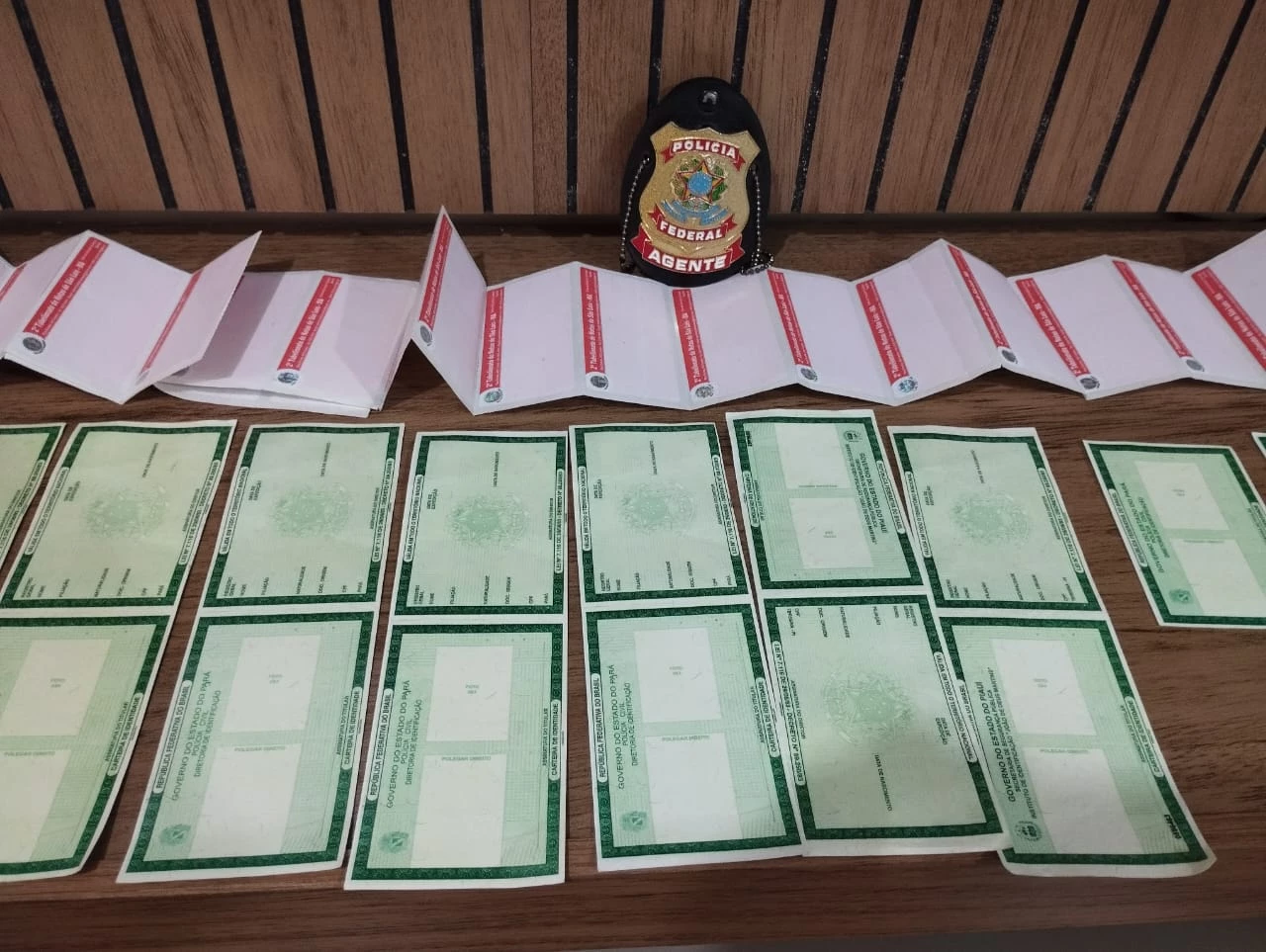 Material apreendido durante operação. (Foto: Divulgação / PF)