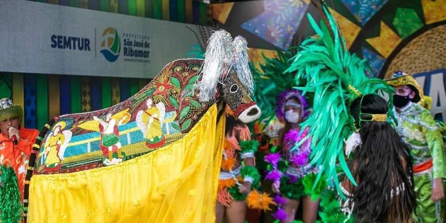 Boi de Cabaceiras.