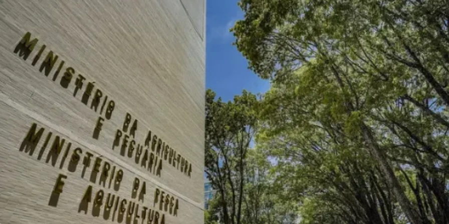 Segundo o ministério, a expectativa é que os servidores temporários estejam exercendo suas atividades até o final de 2024.