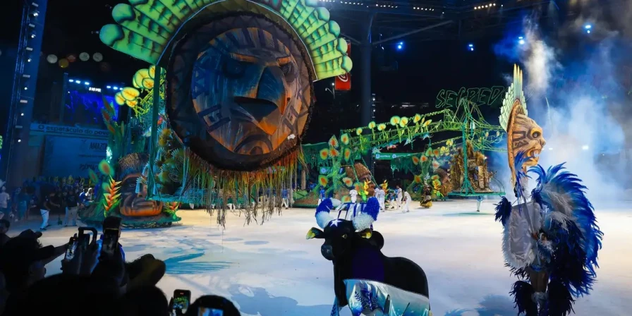 No Caprichoso, a cor principal é o azul, mas a torcida também se veste com tons claros de azul, verde escuro, verde mar, violeta, roxo e lilás.