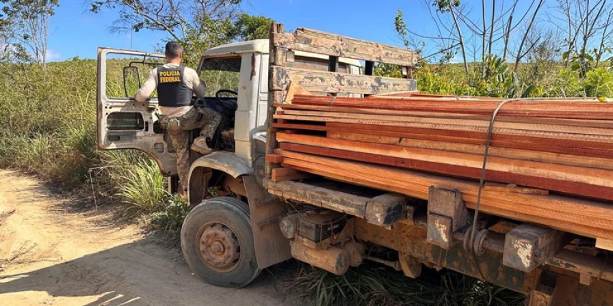 PF apreende madeira ilegal e encontra trabalhadores em condições precárias em Terra Indígena .