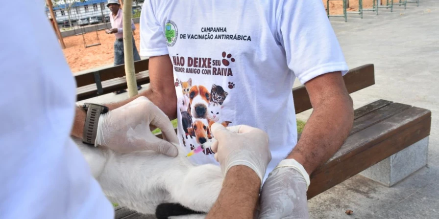 Vacinação antirrábica