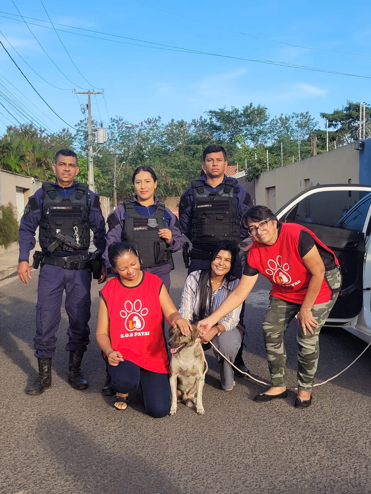 Cachorro é resgatado por ONG de proteção a animais, com apoio da Guarda Municipal em Imperatriz. (Foto: divulgação / Guarda Municipal)