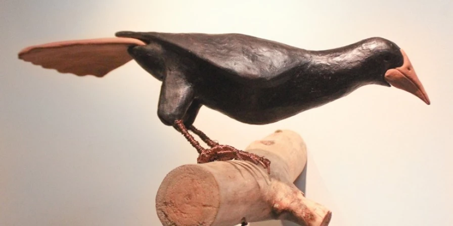 “Pássaras” reúne 33 ilustrações de aves observadas, na região do Araçagy.
