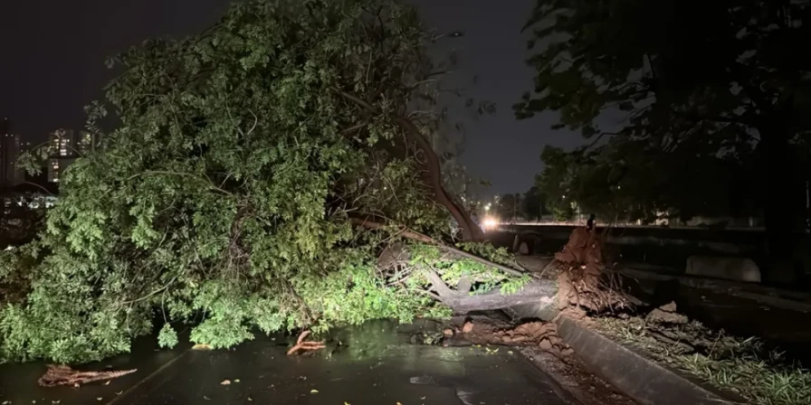 As chuvas atingiram diversas cidades do interior, com registro de precipitação com granizo e queda de árvores em Presidente Prudente e em Nova Odessa.