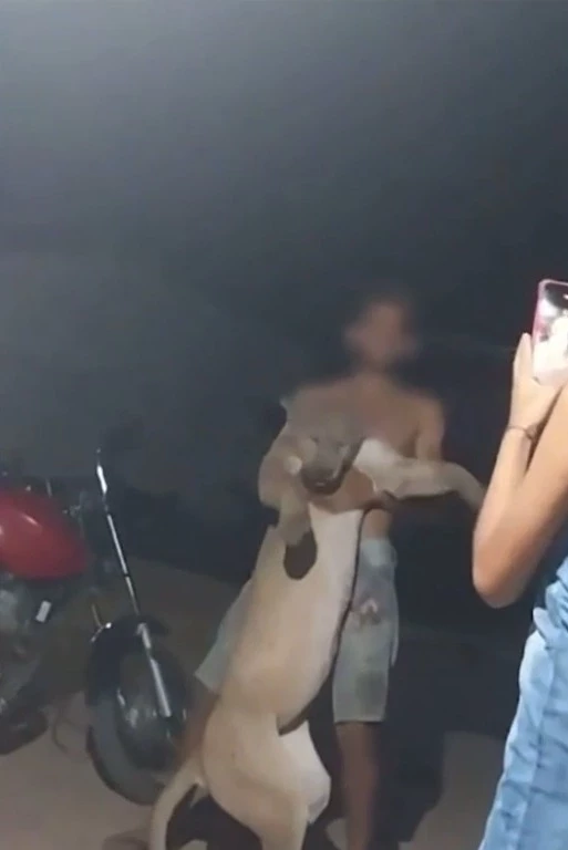 O caso aconteceu na cidade de Coelho Neto, no interior do Maranhão. (Foto: reprodução)