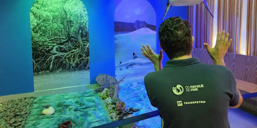 Os manguezais são ecossistemas costeiros formados na transição entre a terra e o mar.