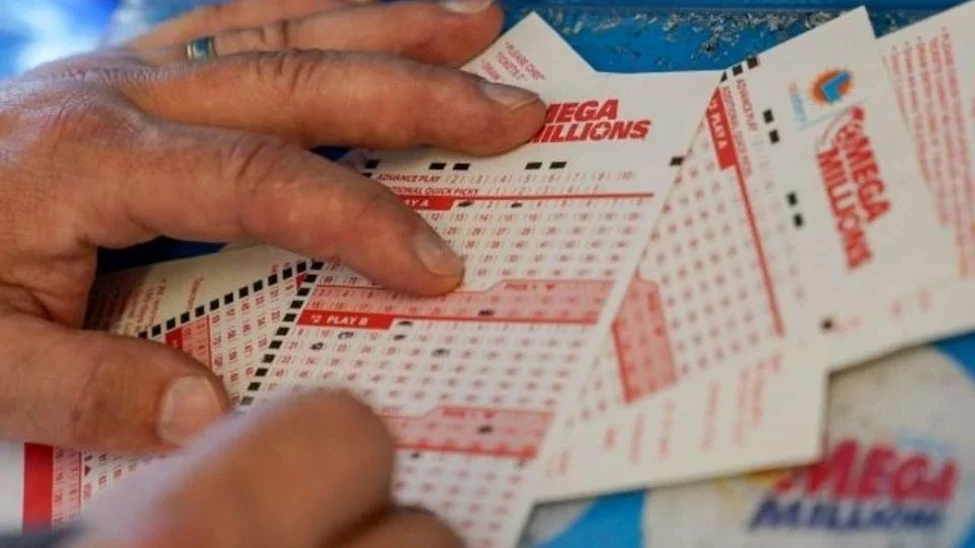 (Foto: Divulgação)