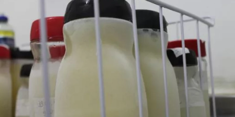 Os frascos (do tipo nescafé) são utilizados pelo Banco de Leite para coleta.