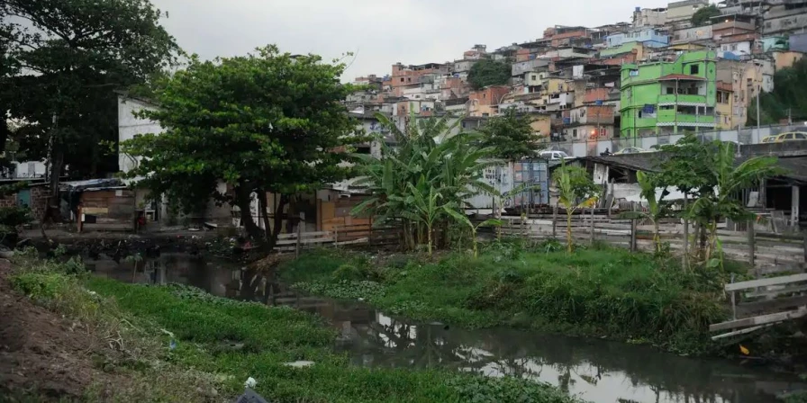 Linhagens da variante Gamma surgidas na Maré estão associadas a casos no Brasil, nos Estados Unidos e na Suíça.