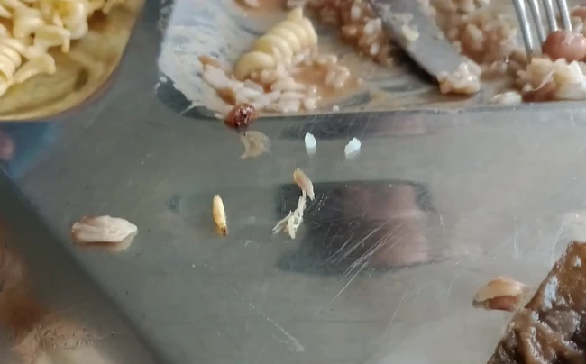 Larvas em comida do RU da UFMA. (Foto: Reprodução/Redes sociais)
