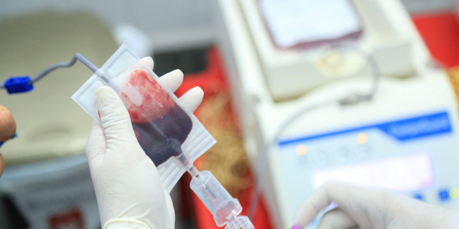 São Luís recebe primeira campanha de doação de sangue do projeto Irmãos de Sangue em 2026