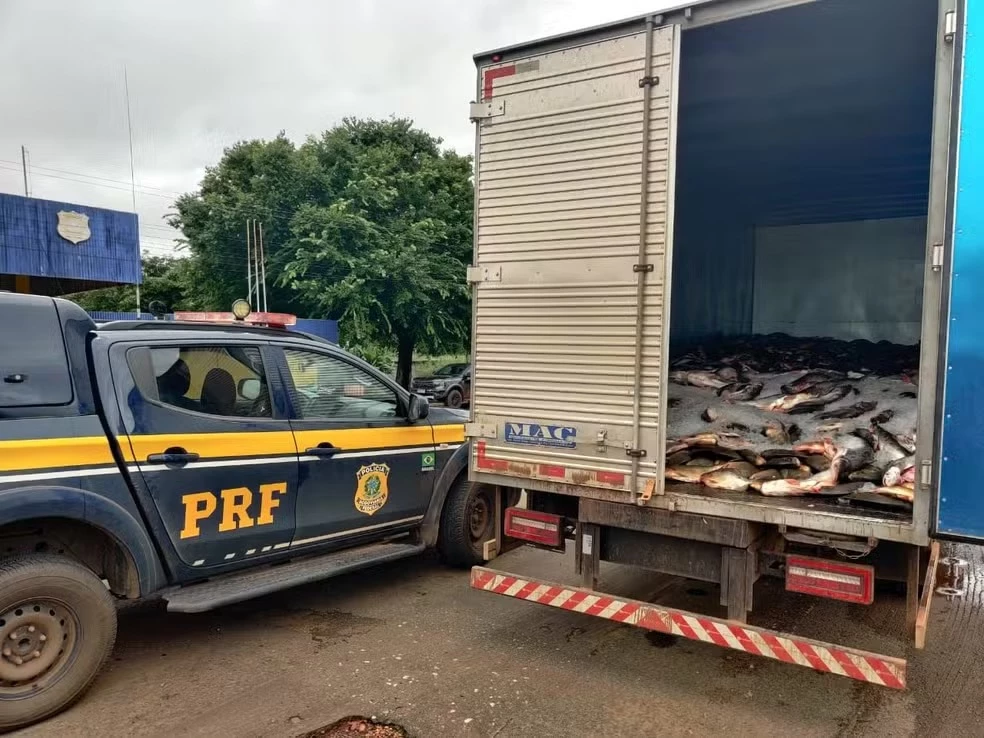A carga, avaliada em R$ 50 mil, havia saído de Balsas, com destino à Imperatriz. (Foto: divulgação / PRF-MA)