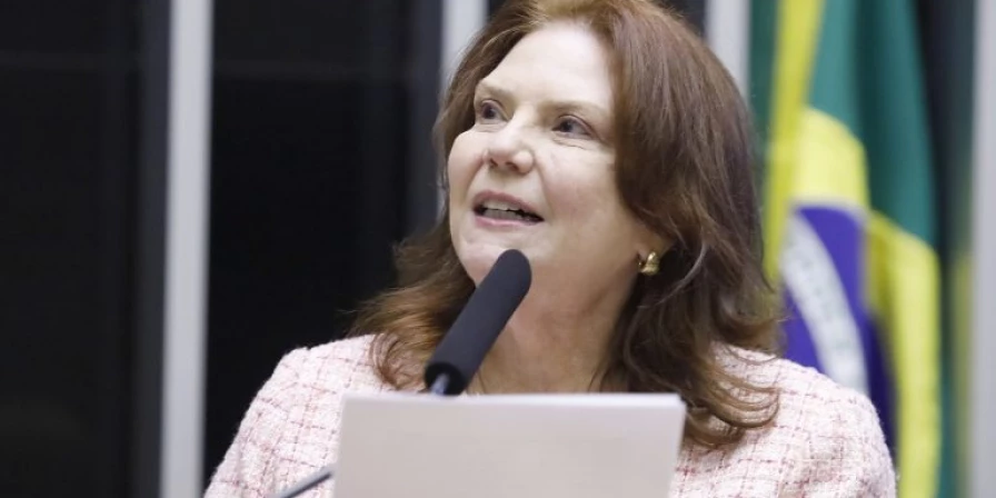 Deputada Fernanda Pessoa