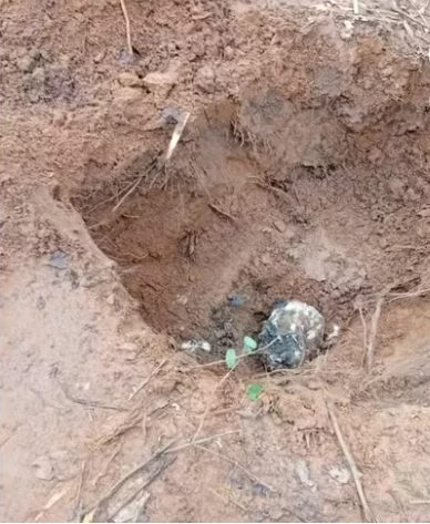 Corpos estavam decapitados. Foto: Guarda Municipal de Várzea Grande