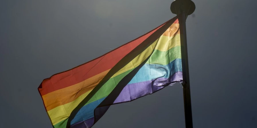Desde 2004, a data passou a ser conhecida como o Dia Internacional de Combate à LGBTfobia.